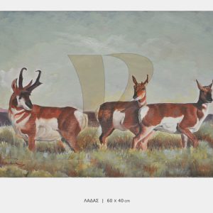 ΠΙΝΑΚΑΣ ΛΑΔΑΣ-P3375